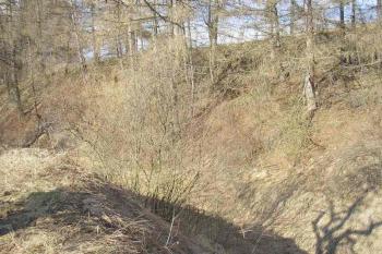 průběh možného příkopu a valu opevnění ve směru  sever-jih ( © Ondřej Štěpánek 04/2006)