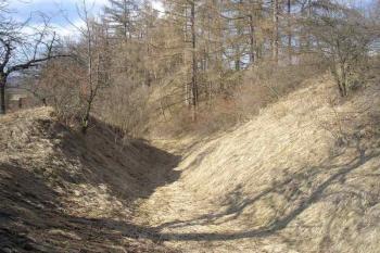 průběh možného příkopu a valu opevnění ve směru  sever-jih ( © Ondřej Štěpánek 04/2006)