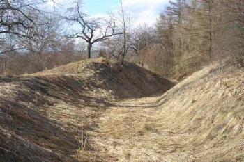 Pohled na nejzachovalejší část valu ve směru sever-jih ( © Ondřej Štěpánek 04/2006)