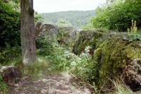 Komberk
