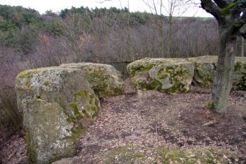  ( © Jiří Čížek 02/2007)