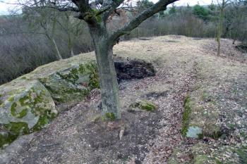  ( © Jiří Čížek 02/2007)