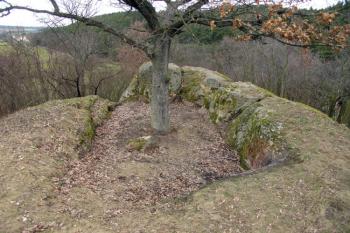  ( © Jiří Čížek 02/2007)