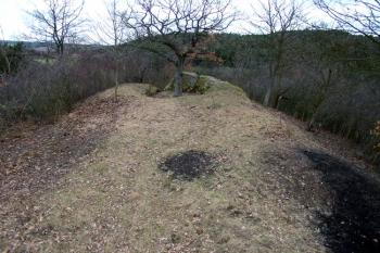  ( © Jiří Čížek 02/2007)
