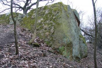 ( © Jiří Čížek 02/2007)