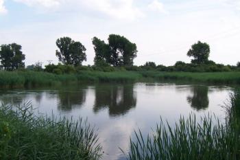 Čelechovice na Hané (© Ivo Rozehnal, 07/2005)