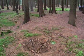 Vnější val na jižní straně ( © Filip Matoušek 08/2006)