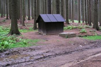 Pramen u lesní cesty nedaleko tábora - jen pro orientaci, tvrziště leží jen několik metrů vpravo ( © Filip Matoušek 08/2006)