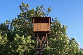 Štátula (© Ivo Rozehnal, 07/2008)