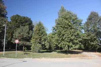 Bývalý zámecký park od jihu. (© Luděk Vláčil 10/2015)