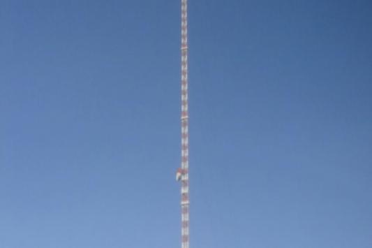 Kojál