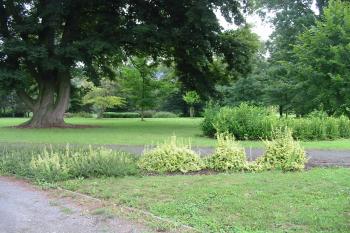 velmi pěkný zámecký park (© D Dohňanský, 08/2014)