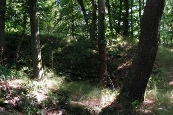 Příkop oddělující obě části (© Jana Sainerová 07/2006)