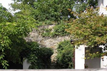 Část úseku hradby v jižní části linie hradeb (© Jan P. Štěpánek, 09/2006)