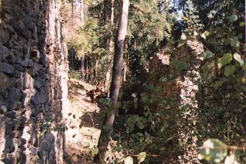  (©1997 Jiří Čížek)