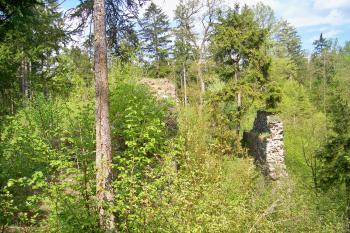 Kožlí (© Jan Šebek, 05/2010)