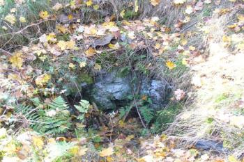 pravděpodobně jímka na vodu vysekaná ve skále (© zdeněk komínek, 10/2008)