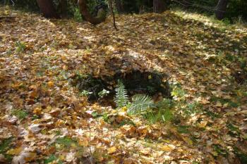 základy okrouhlé stavby - bašty? ve vnějším opevnění s vnitřní šachtou (© zdeněk komínek, 10/2008)