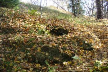 základy okrouhlé stavby - bašty? ve vnějším opevnění s vnitřní šachtou (© zdeněk komínek, 10/2008)