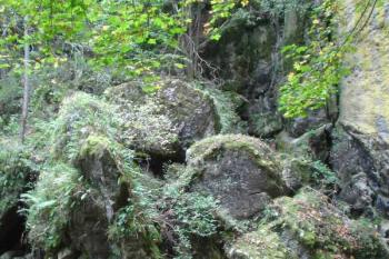 Stará Rasovna - Zbořisko (© Jan Celý, 10/2006)