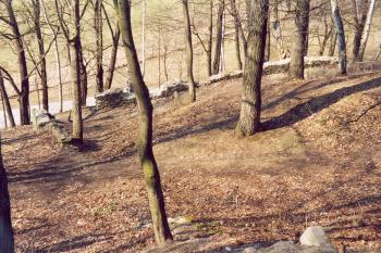 Zbytky hradby ( ©Martin Kabeláč 11/2003)