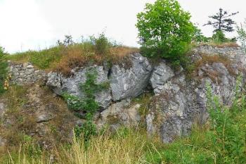  ( © Jan P. Štěpánek 08/2006)