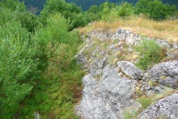 Pohled od severovýchodu na ohrazení dolního hradu ( © Jan P. Štěpánek 08/2006)