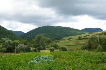 Pohled na hradní vrch od jihu z vesnice Kalameny ( © Jan P. Štěpánek 08/2006)