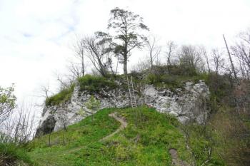 skalisko nesoucí dolní část hradu od východu ( © Jan P. Štěpánek 05/2008)