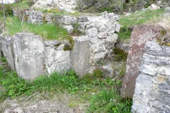 pozůstatky ostění vstupu do hradního paláce ( © Jan P. Štěpánek 05/2008)