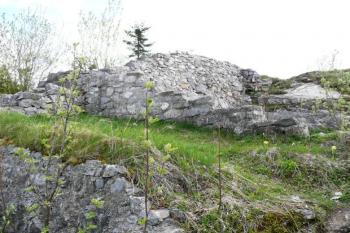 pozůstatky zdiva budov palácového jádra hradu ( © Jan P. Štěpánek 05/2008)