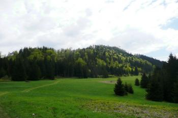 celkový pohled na hradní kopec od severozápadu ( © Jan P. Štěpánek 05/2008)