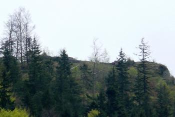 pohled na vrchol hradního kopce s pozůstatky hradu Liptov ( © Jan P. Štěpánek 05/2008)