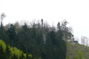 celkový pohle dna vrchol hradního kopce s pozůstatky hradu Liptova ( © Jan P. Štěpánek 05/2008)