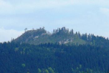 celkový pohled na hradní kopec s pozůstatky Liptovského hradu od jihovýchodu ( © Jan P. Štěpánek 05/2008)