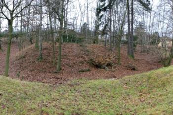Panoramatický pohled na tvrziště od východu ( © Filip Matoušek 12/2005)