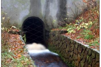 Vyústění Dieterovy štoly v Bezručově údolí. ( © Radovan Smokoň 11/2006)