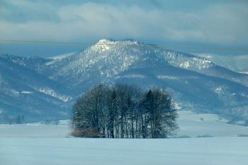 celkový pohled na hradní kopec od východu ( © Jan P. Štěpánek 01/2012)