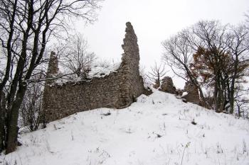 Dolní hrad od severovýchodu ( © Jan P. Štěpánek 11/2007)