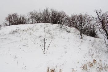 Pohled od západu na horní hrad ( © Jan P. Štěpánek 11/2007)
