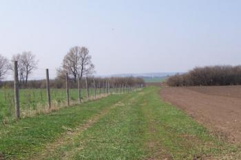 Rakůsky (© Ivo Rozehnal, O7/2006)