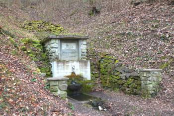 studánka U psa (© muadamov  03/2014)