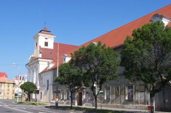 Kostel Milosrdných bratří (© Ivo Rozehnal, 06/2006)