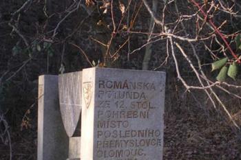  (© Milan Náplava, 12/2008)