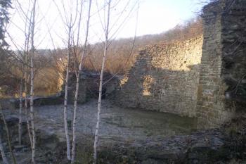  (© Milan Náplava, 12/2008)