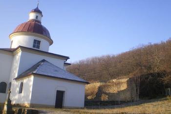  (© Milan Náplava, 12/2008)
