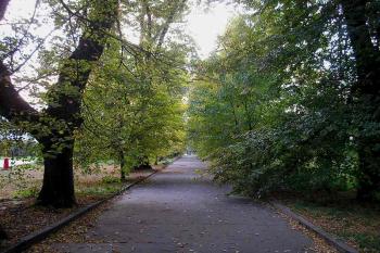 cesta od zámku-přírodní park ( © Ondřej Štěpánek 10/2006)