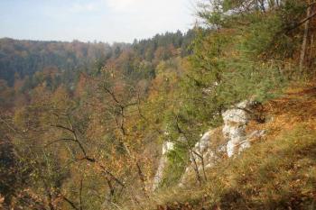 Koňský spád (© Jan Celý, 10/2006)