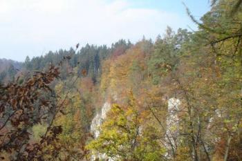Koňský spád (© Jan Celý, 10/2006)
