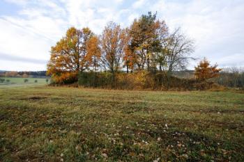 Dochovaný val tvrziště od východu ( © Filip Matoušek 10/2006)
